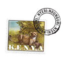 Kenya - Nyeri