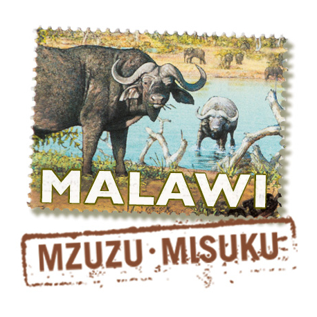 Malawi - Mzuzu